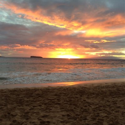 Profile Picture of Lisa McFadden (@LisaMcFadden_) on Twitter