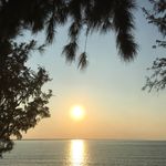 Profile Picture of Sonja Kyr (@insta_newby83) on Instagram