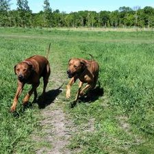 Geoffrey Douglas - Twitter Profile Picture of Geoffrey Douglas (@g_off_rey_d) on Twitter