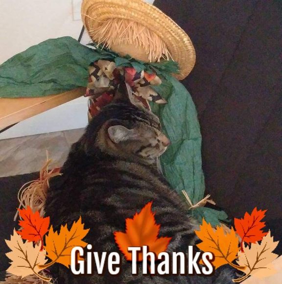 Profile Picture of Karen Natole (@karennatole) on Poshmark