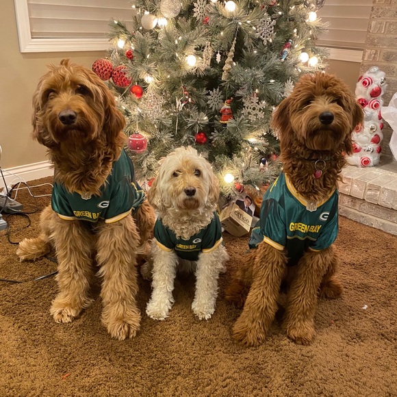 Profile Picture of Bethany Gaertig (@bgaertig17) on Poshmark