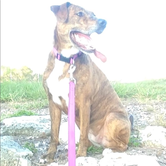 Profile Picture of Giavana Fallacaro (@giavananicole) on Poshmark