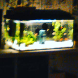 Profile Picture of joyce heinrichs (@heinrichsjoyce) on Instagram