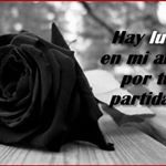 Profile Picture of Vega Rosa (@isabel.purizacamontero) on Instagram