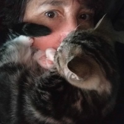 Profile Picture of Paula Payton (@amazednconfused) on Twitter