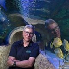 Profile Picture of David Gross (@David_J_Gross) on Twitter