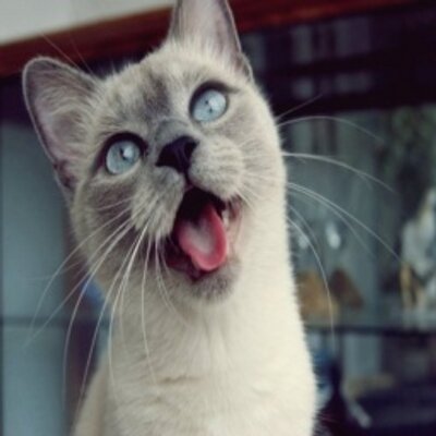 Profile Picture of Cecil Monroe (@CecilMonroe1) on Twitter