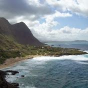 Dylan Bunch - Youtube Profile Picture of Dylan Bunch (@Wombaggins) on Youtube