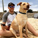 Profile Picture of Thomas Hoyle (@thathoyleguy) on Instagram