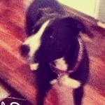 Profile Picture of ✨I S A B E L   H A N S O N✨ (@isabel_hanson) on Instagram