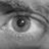 Profile Picture of jared_bee (@jared_bee) on Flickr