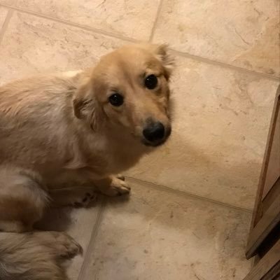 Profile Picture of Jeremy Rawlings (@jeremyrawlings7) on Twitter