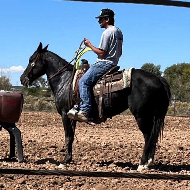 Profile Picture of Hagen.horton (@hagenhorton4) on Tiktok