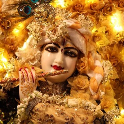 Profile Picture of RITU TYAGI (@TYAGIRITURAJ) on Twitter