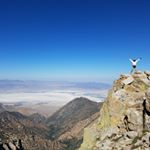 Profile Picture of Peter Klauer (@paklauer) on Instagram