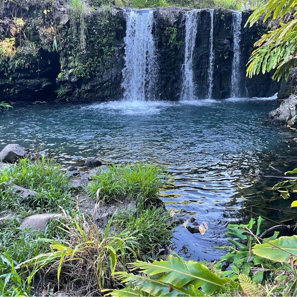 Profile Picture of Nikki Rizzie (@805mom) on Poshmark