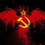 Profile Picture of Alex Stork (@stork_alex) on Instagram