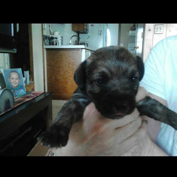 Profile Picture of Inge Kasprzak (@ingekasprzak) on Poshmark