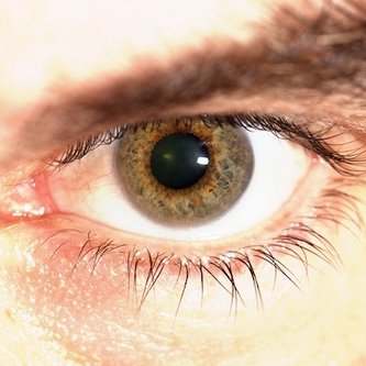 Profile Picture of Lance Gilbert  📸 (@LanceG_Photo) on Twitter