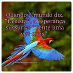 Profile Picture of Fabiola Amaral (@amaral5909) on Instagram