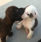 Profile Picture of Darryl Bossart (@Darryl-Bossart) on Facebook