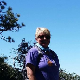 Profile Picture of Sue Holloway (@Foxiedog1) on Twitter