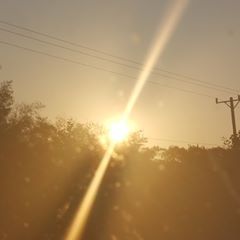 Profile Picture of Jianbo Li (@jianboli) on Tiktok