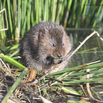 Profile Picture of david warner (@ghostblaster) on Flickr