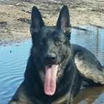 Profile Picture of Daniel Tiner (@ronnytiner03) on Instagram