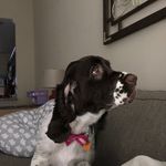 Profile Picture of Andrew Ousley (@andrew_ousley) on Instagram