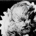 Profile Picture of Estelle Larrivaz (@estellelarrivaz) on Instagram