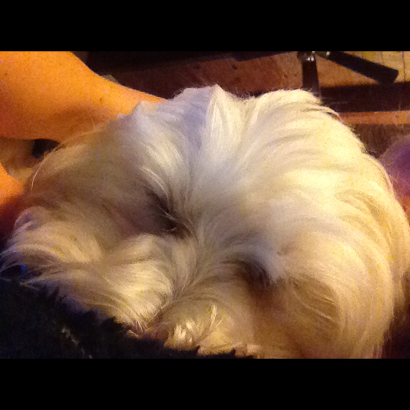 Profile Picture of Noelle Pierce (@noenoes) on Poshmark