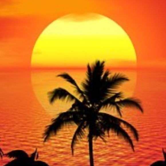 Profile Picture of Olivia Alcantara (@oliviamoon0827) on Poshmark