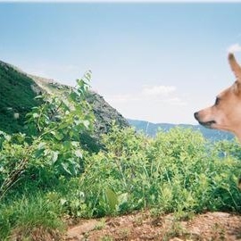 Profile Picture of Joseph Lefrancois (@110112375) on Myspace