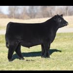 Profile Picture of Scott (@scotthalpin00) on Instagram