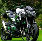 Profile Picture of Wilbert García (@Wilbert-García) on Facebook