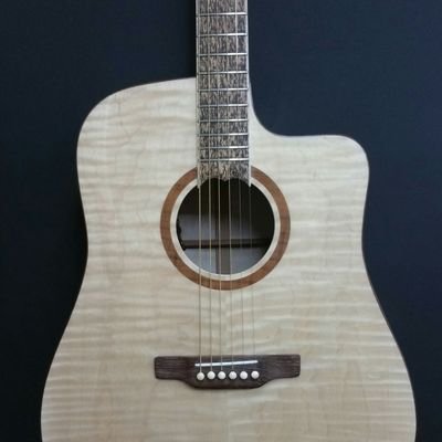 Profile Picture of Eddie Foster (@gtrfish) on Twitter