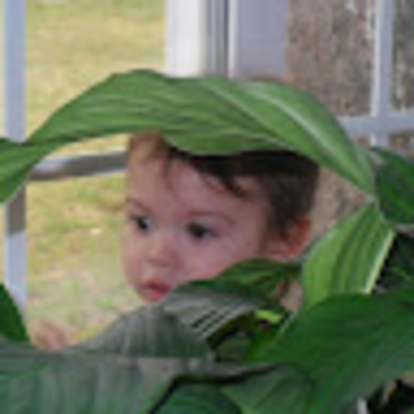 Profile Picture of Norma Scoggins (@normascoggins) on Poshmark