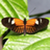 Profile Picture of Deborah Gonzalez (@gogodesigns) on Flickr