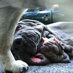 Profile Picture of Jeremy Sites (@hudsonsites) on Instagram