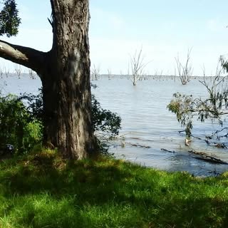 Profile Picture of Brian Wardle (@marketuk1) on Instagram