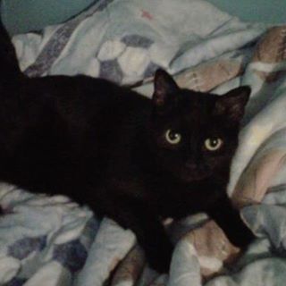 Shads Boguth - Facebook Profile Picture of Shads Boguth (@Shads-Boguth) on Facebook