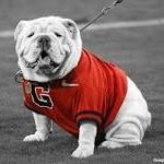 Profile Picture of Greg Hodges (@GCgreghodges) on Twitter