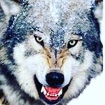 Profile Picture of Jean-Ken Jhonny (@jean_ken_johnny10) on Instagram