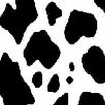 Profile Picture of Santiago Blackwell (@356kenneth) on Twitter