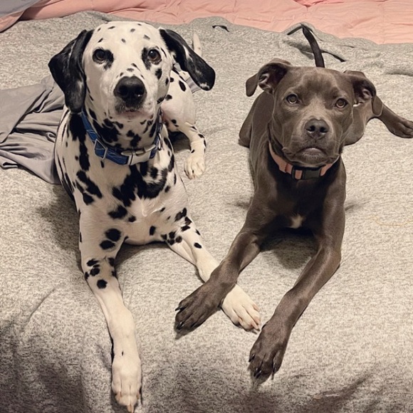 Profile Picture of Jes Wilson (@jes_wilson) on Poshmark