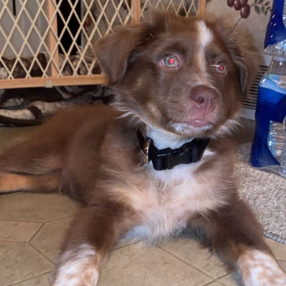 Profile Picture of Tori Barkus (@toribarkus) on Poshmark