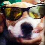 Profile Picture of Dane Garrett (@septicgamer4777) on Instagram