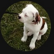 Profile Picture of Anne Mccafferty (@annemccafferty2522) on Youtube