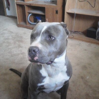 Profile Picture of Ethen James Eaves (@eejvsethen) on Twitter